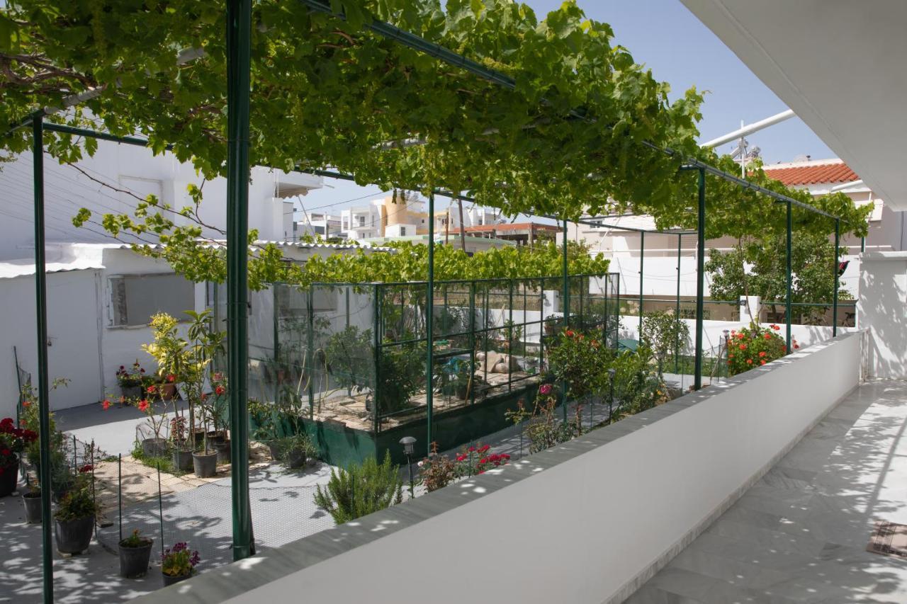 Iliana'S House Apartment Ziparion Exterior photo